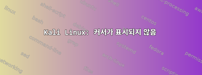 Kali Linux: 커서가 표시되지 않음