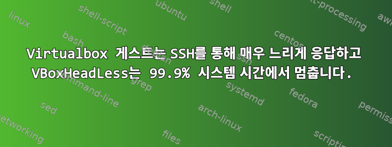 Virtualbox 게스트는 SSH를 통해 매우 느리게 응답하고 VBoxHeadLess는 99.9% 시스템 시간에서 멈춥니다.