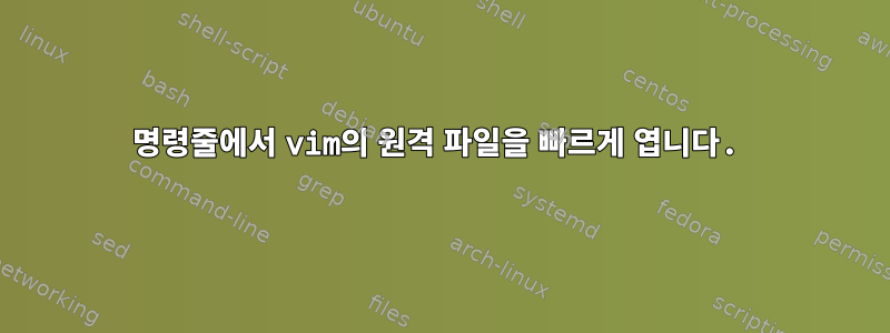 명령줄에서 vim의 원격 파일을 빠르게 엽니다.