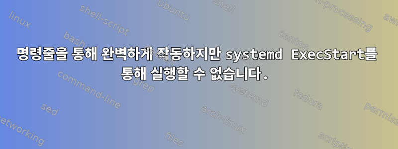 명령줄을 통해 완벽하게 작동하지만 systemd ExecStart를 통해 실행할 수 없습니다.