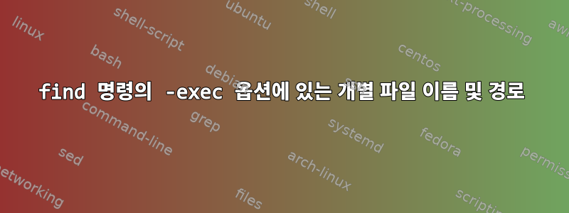 find 명령의 -exec 옵션에 있는 개별 파일 이름 및 경로