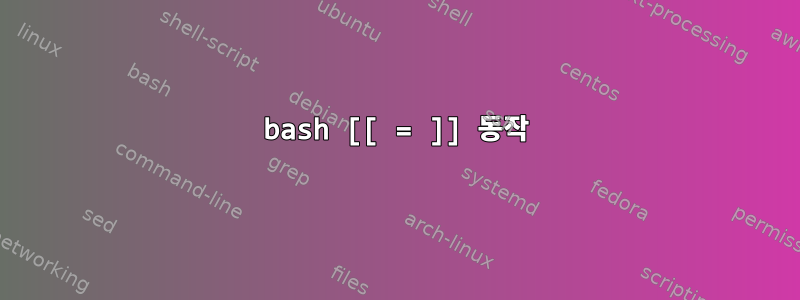 bash [[ = ]] 동작