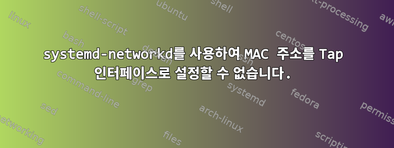 systemd-networkd를 사용하여 MAC 주소를 Tap 인터페이스로 설정할 수 없습니다.