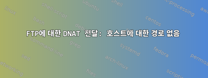 FTP에 대한 DNAT 전달: 호스트에 대한 경로 없음