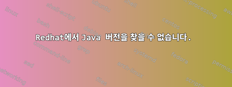 Redhat에서 Java 버전을 찾을 수 없습니다.