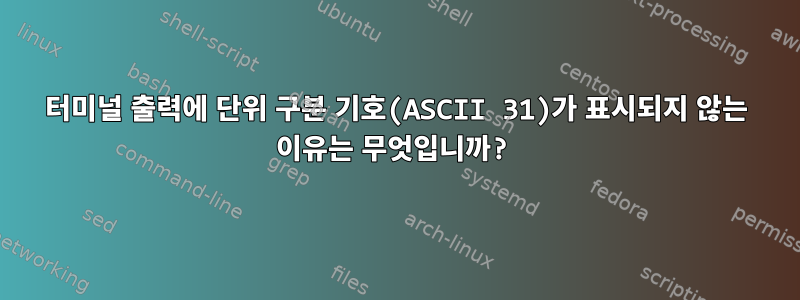 터미널 출력에 단위 구분 기호(ASCII 31)가 표시되지 않는 이유는 무엇입니까?