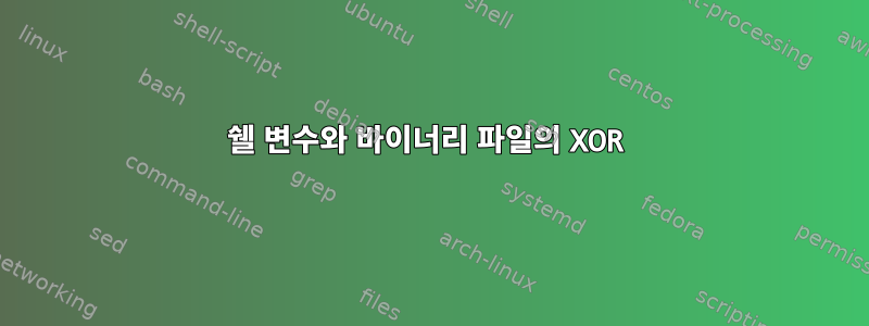 쉘 변수와 바이너리 파일의 XOR