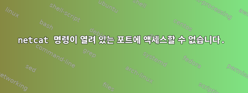 netcat 명령이 열려 있는 포트에 액세스할 수 없습니다.