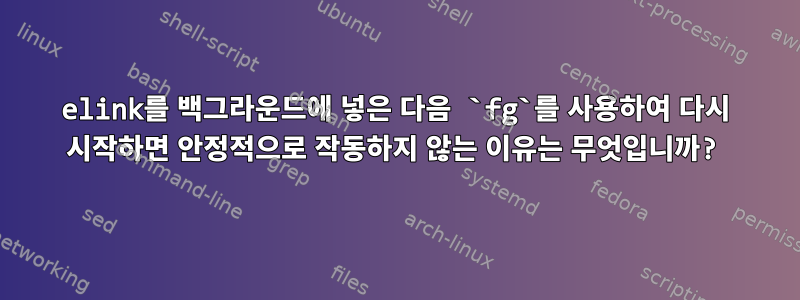 elink를 백그라운드에 넣은 다음 `fg`를 사용하여 다시 시작하면 안정적으로 작동하지 않는 이유는 무엇입니까?