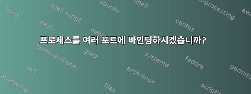 프로세스를 여러 포트에 바인딩하시겠습니까?