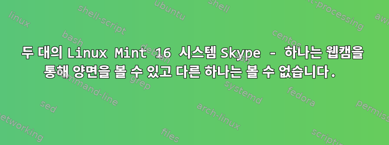 두 대의 Linux Mint 16 시스템 Skype - 하나는 웹캠을 통해 양면을 볼 수 있고 다른 하나는 볼 수 없습니다.