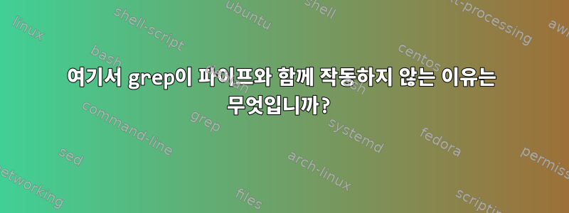 여기서 grep이 파이프와 함께 작동하지 않는 이유는 무엇입니까?