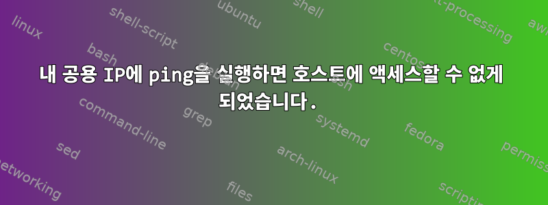 내 공용 IP에 ping을 실행하면 호스트에 액세스할 수 없게 되었습니다.