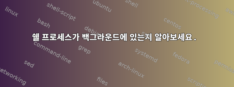 쉘 프로세스가 백그라운드에 있는지 알아보세요.