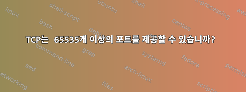 TCP는 65535개 이상의 포트를 제공할 수 있습니까?