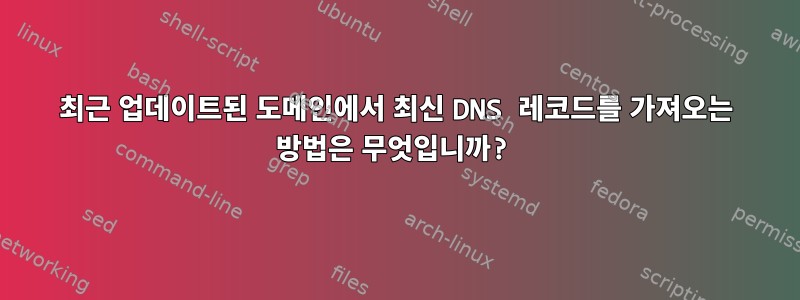 최근 업데이트된 도메인에서 최신 DNS 레코드를 가져오는 방법은 무엇입니까?