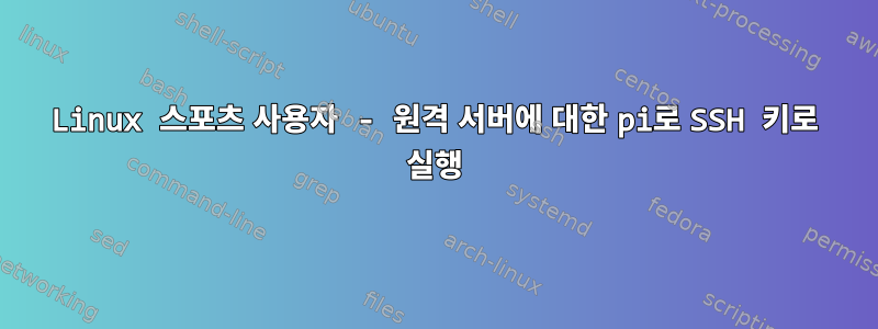 Linux 스포츠 사용자 - 원격 서버에 대한 pi로 SSH 키로 실행