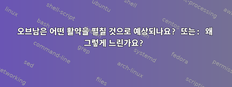 오브남은 어떤 활약을 펼칠 것으로 예상되나요? 또는: 왜 그렇게 느린가요?