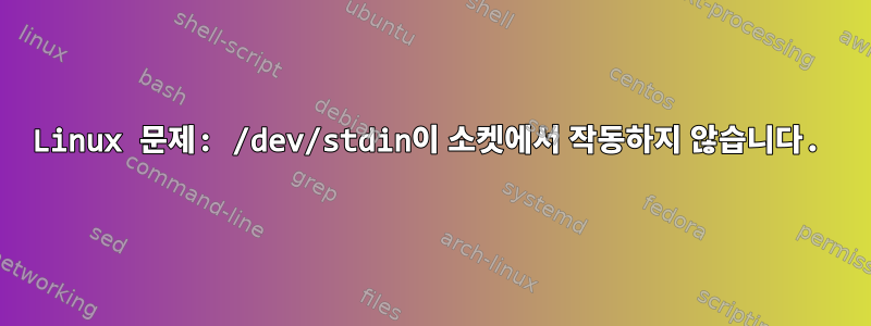 Linux 문제: /dev/stdin이 소켓에서 작동하지 않습니다.