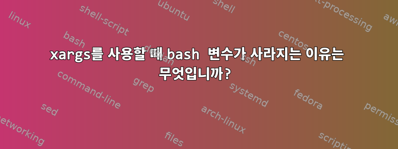 xargs를 사용할 때 bash 변수가 사라지는 이유는 무엇입니까?