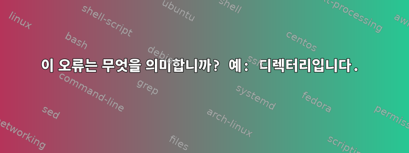 이 오류는 무엇을 의미합니까? 예: 디렉터리입니다.