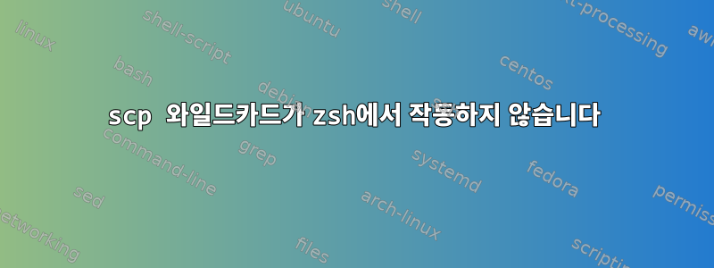 scp 와일드카드가 zsh에서 작동하지 않습니다