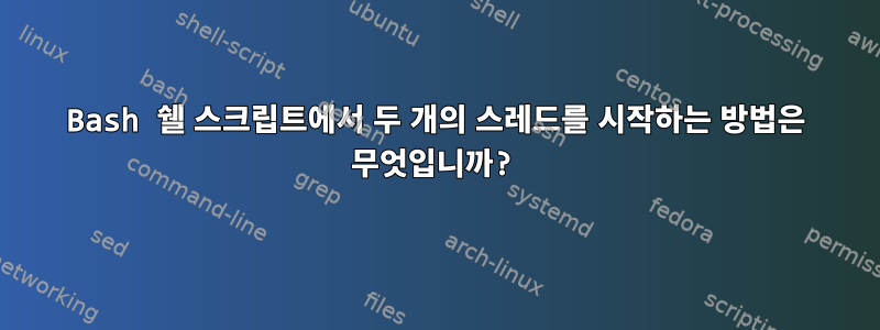 Bash 쉘 스크립트에서 두 개의 스레드를 시작하는 방법은 무엇입니까?