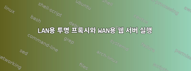 LAN용 투명 프록시와 WAN용 웹 서버 실행