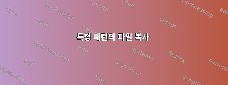 특정 패턴의 파일 복사