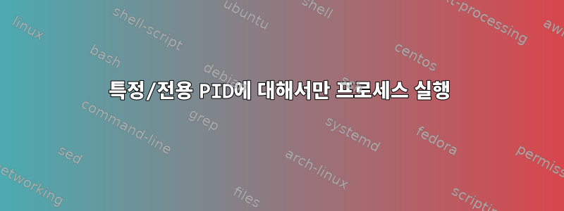 특정/전용 PID에 대해서만 프로세스 실행