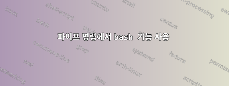 파이프 명령에서 bash 기능 사용