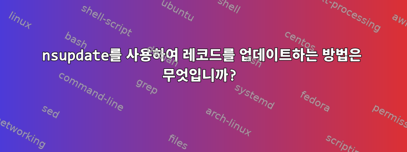 nsupdate를 사용하여 레코드를 업데이트하는 방법은 무엇입니까?