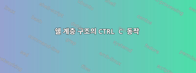 쉘 계층 구조의 CTRL C 동작