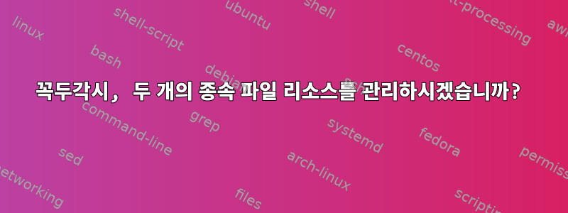 꼭두각시, 두 개의 종속 파일 리소스를 관리하시겠습니까?