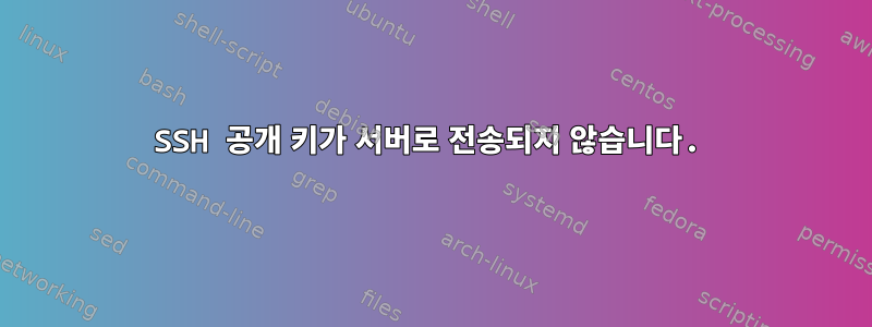 SSH 공개 키가 서버로 전송되지 않습니다.