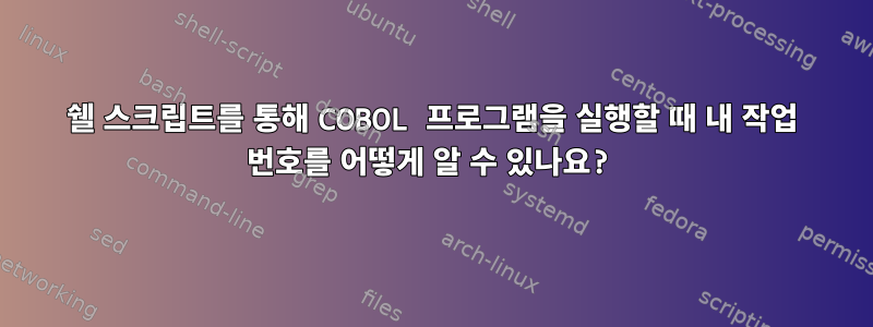 쉘 스크립트를 통해 COBOL 프로그램을 실행할 때 내 작업 번호를 어떻게 알 수 있나요?