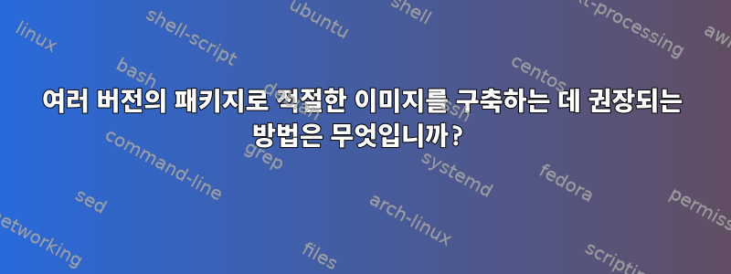 여러 버전의 패키지로 적절한 이미지를 구축하는 데 권장되는 방법은 무엇입니까?