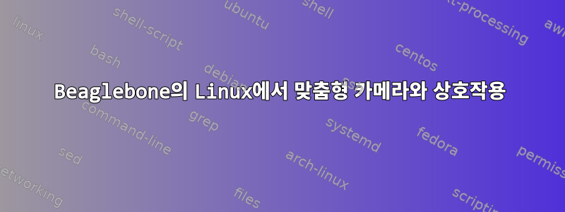 Beaglebone의 Linux에서 맞춤형 카메라와 상호작용