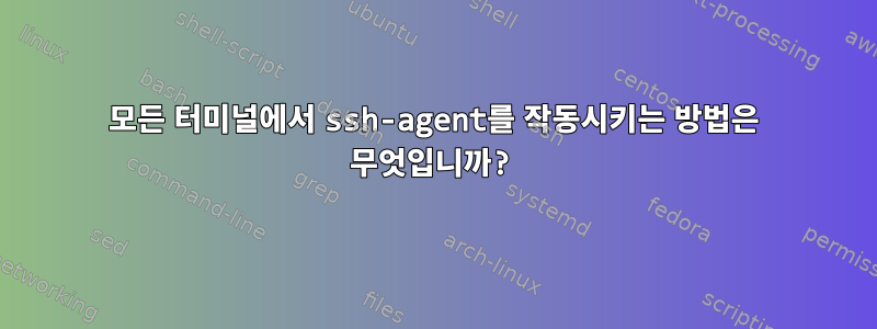 모든 터미널에서 ssh-agent를 작동시키는 방법은 무엇입니까?