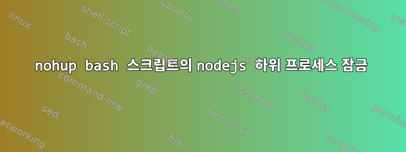 nohup bash 스크립트의 nodejs 하위 프로세스 잠금