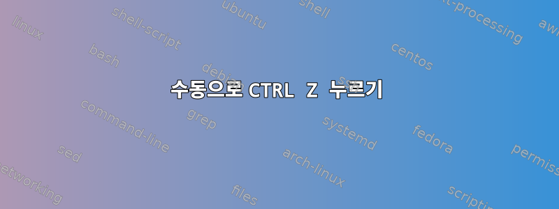 수동으로 CTRL Z 누르기