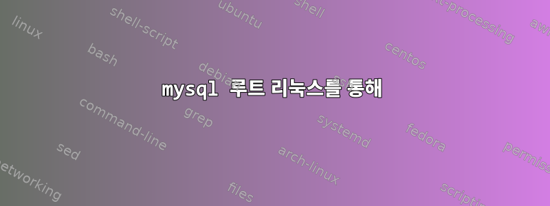 mysql 루트 리눅스를 통해