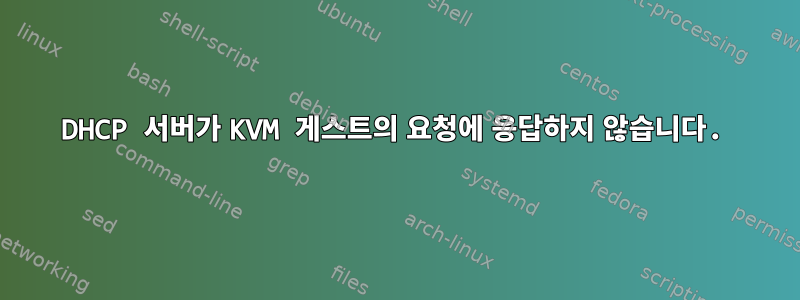 DHCP 서버가 KVM 게스트의 요청에 응답하지 않습니다.