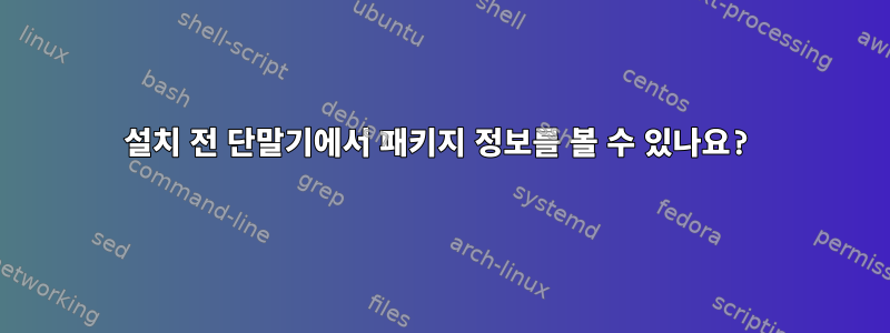 설치 전 단말기에서 패키지 정보를 볼 수 있나요?