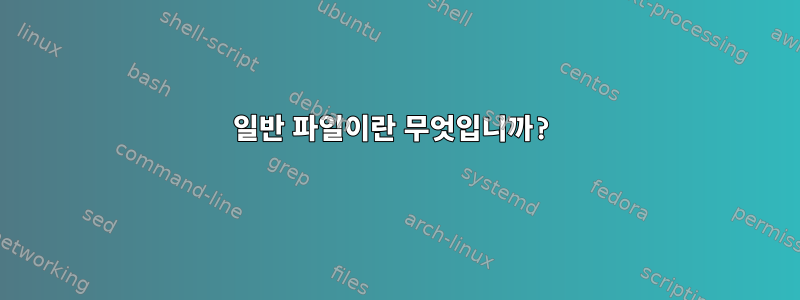 일반 파일이란 무엇입니까?