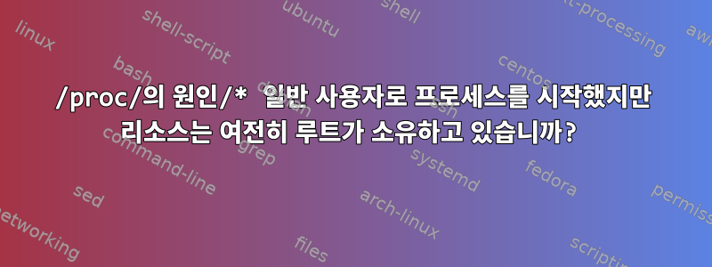 /proc/의 원인/* 일반 사용자로 프로세스를 시작했지만 리소스는 여전히 루트가 소유하고 있습니까?