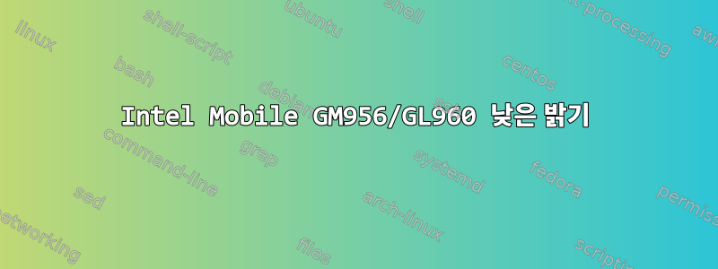 Intel Mobile GM956/GL960 낮은 밝기