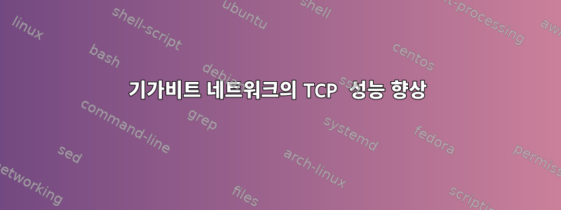 기가비트 네트워크의 TCP 성능 향상