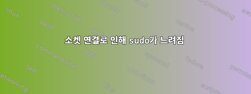 소켓 연결로 인해 sudo가 느려짐