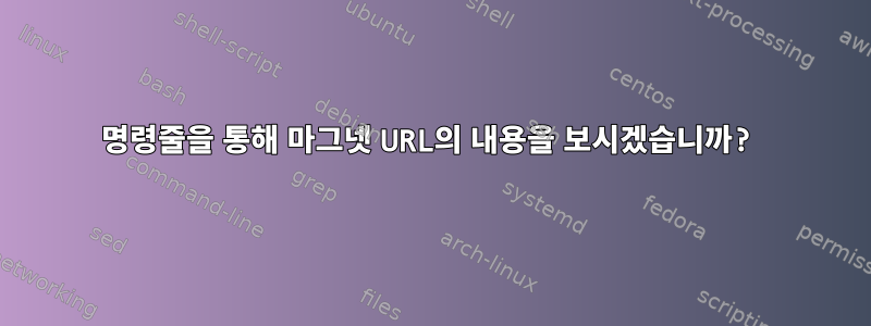 명령줄을 통해 마그넷 URL의 내용을 보시겠습니까?